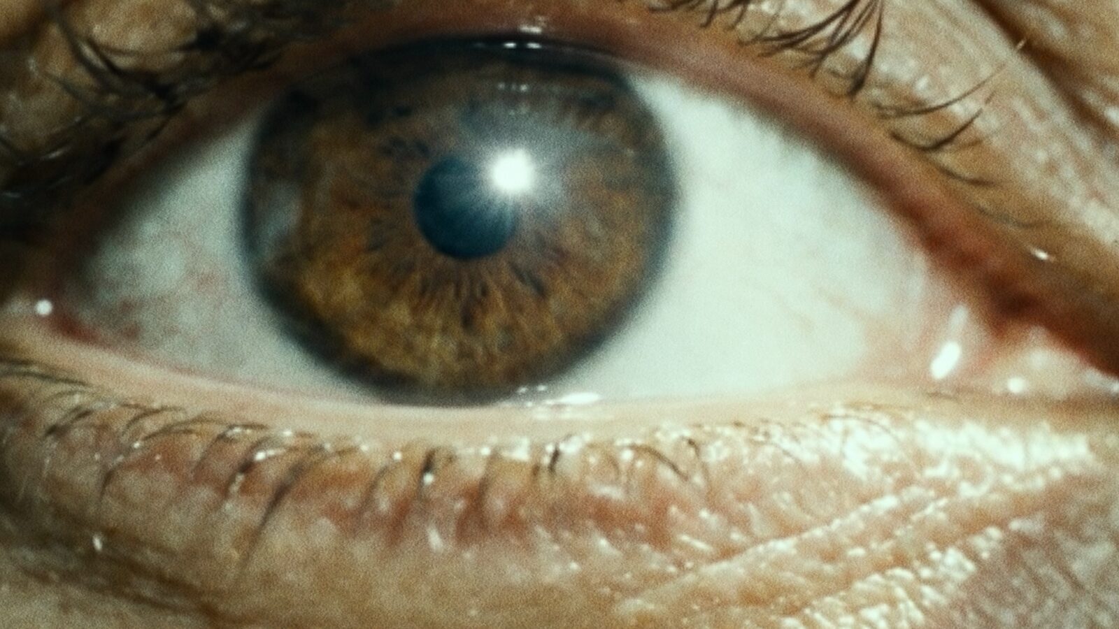 Extreme close-up of a brown eye.